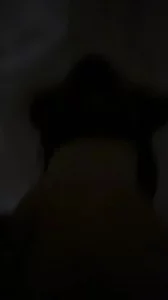 皇铯电影站